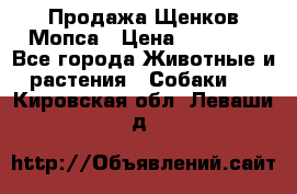 Продажа Щенков Мопса › Цена ­ 18 000 - Все города Животные и растения » Собаки   . Кировская обл.,Леваши д.